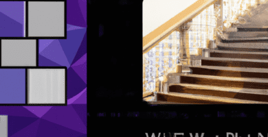 una ilustracion vectorial sobre como crear tu propia tarjeta de visita digital en wordpress en escala de lilas y colores tecnologicos pero predominando siempre el color hexadecimal b78af2 con mas de
